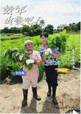 趣味测试入口缩略示意